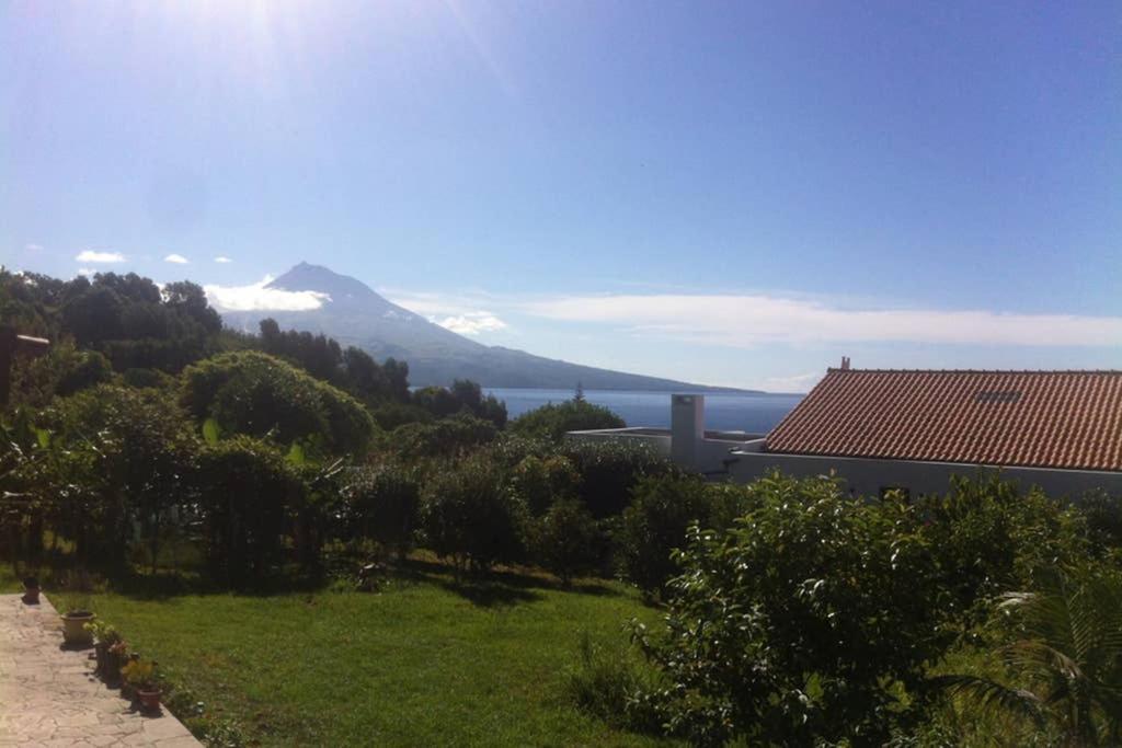Summer House With Bbq And Garden Horta (Azores) Exterior foto