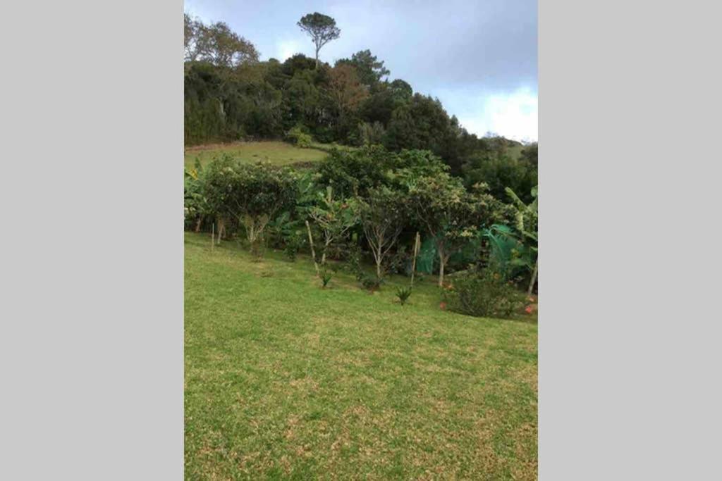 Summer House With Bbq And Garden Horta (Azores) Exterior foto