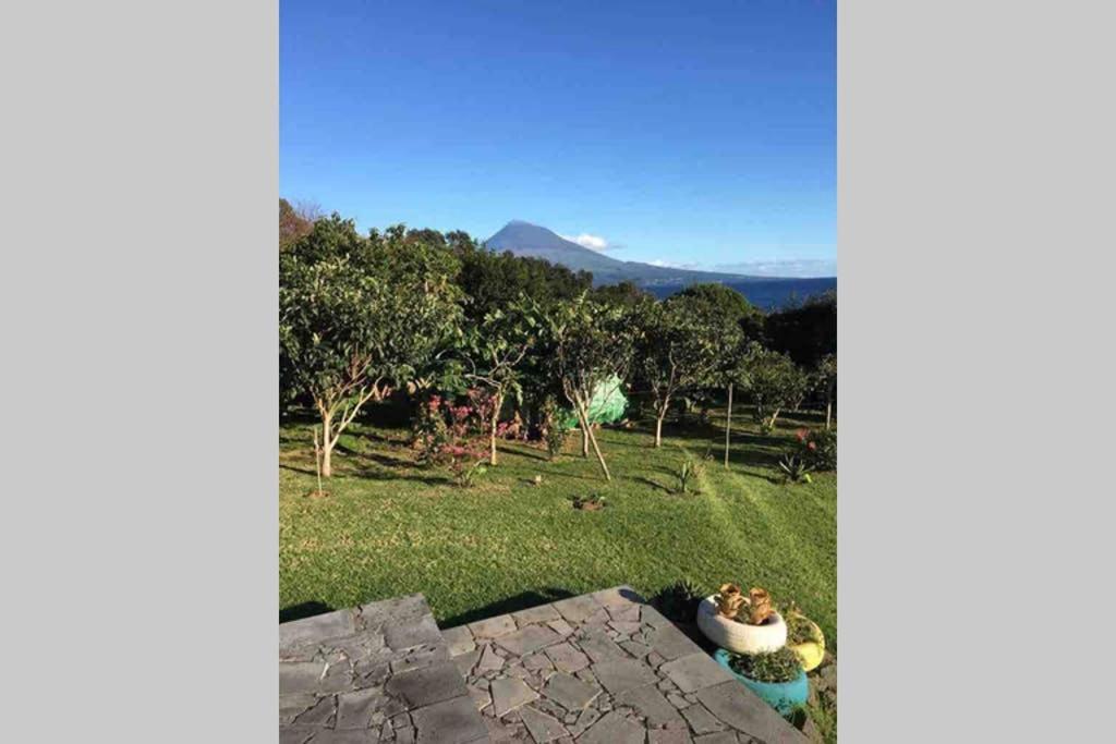 Summer House With Bbq And Garden Horta (Azores) Exterior foto